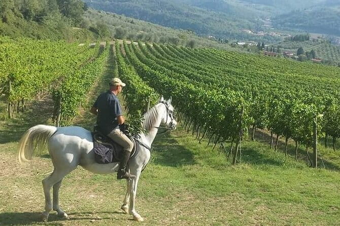 E-bike 2.5 hour Florence & Tuscany With Fresh Olive Oil and Bread - Pace and distance: what 2.5 hours actually feels like