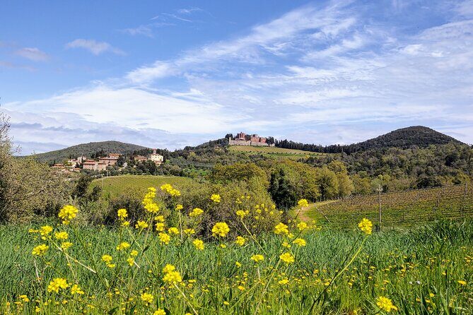 E-Bike Tour: Explore the Chianti, its Enogastronomy and Castles - Barone Ricasoli wine tasting: one included glass, easy upgrades