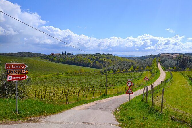 E-Bike Tour: Explore the Chianti, its Enogastronomy and Castles - Agribar Brolio and Borgo di San Gusme: cyclist fuel, then Tuscan food time