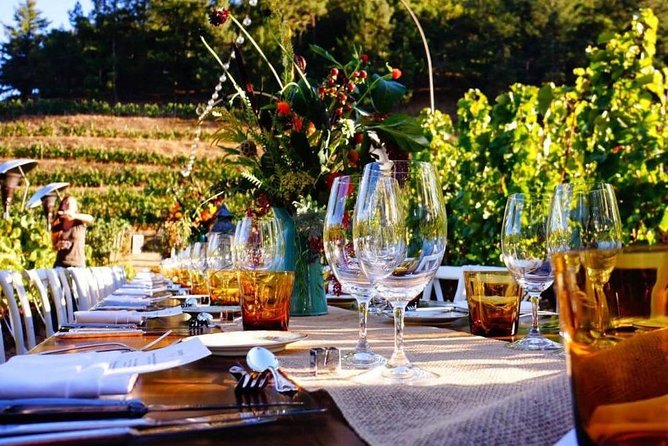 Enjoy a meal with wine tasting in the vineyard of Podere Casanova - Key things I’d bank on before you go