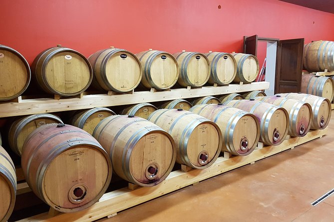 Enjoy a meal with wine tasting in the vineyard of Podere Casanova - Vineyard lunch or dinner at Podere Casanova: the setting and the promise
