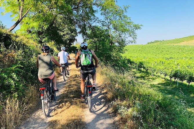 Enjoy a Wine Tasting after a cycling excursion in the magic of Tuscany - Key Things to Know Before You Go
