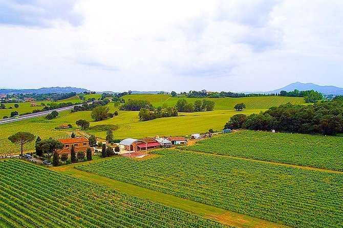 Enjoy a Wine Tasting after a cycling excursion in the magic of Tuscany - The Bike Ride: Comfortable Pace Through Countryside Views