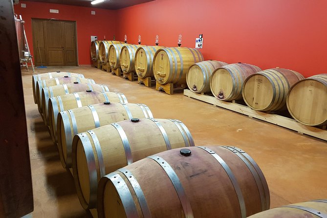 Enjoy a Wine Tasting after a cycling excursion in the magic of Tuscany - What’s Included: Lunch and a Proper Wine Tasting Menu