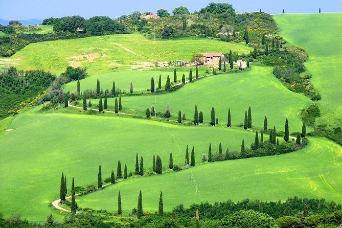Enjoy a Wine Tasting after a cycling excursion in the magic of Tuscany - Who This Tour Fits Best (and Who Should Skip It)