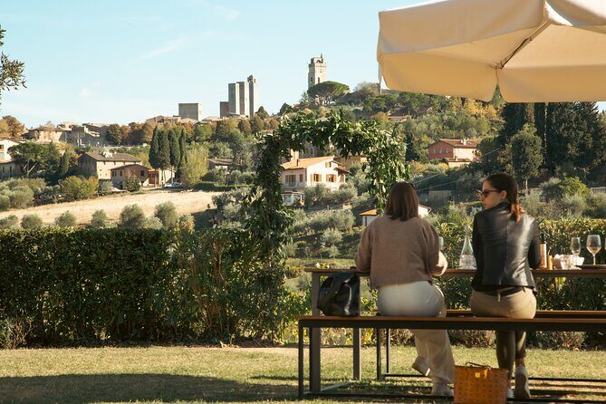 Essence of Tuscany - Private Wine & Evo oil Tasting - Vineyards first: vineyards, olive groves, and biodynamic farming basics