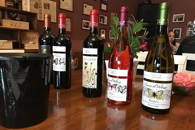 Exclusive Bolgheri from Florence: The Land of the Super Tuscan - Value check: is $667.37 per person worth it?