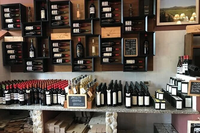 Exclusive Bolgheri from Florence: The Land of the Super Tuscan - Pickup, drive time, and how to prep for the long Tuscan day