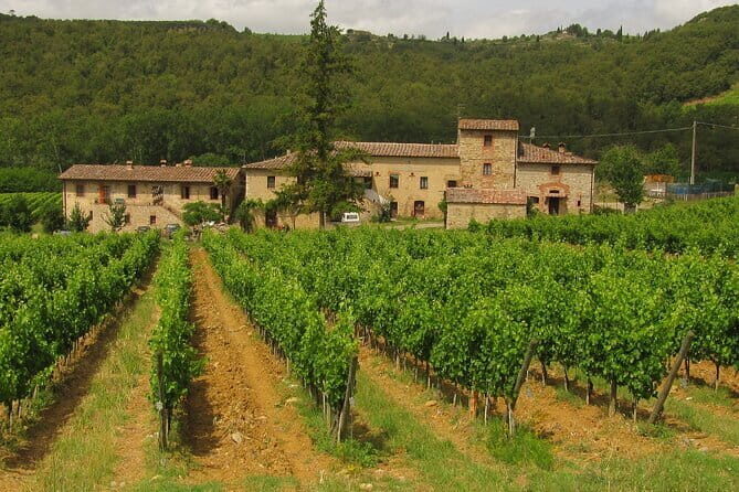 Exclusive Chianti Classico Day Trip from Florence - Luiano in San Casciano in Val di Pesa: Renaissance cellars and vine-only focus
