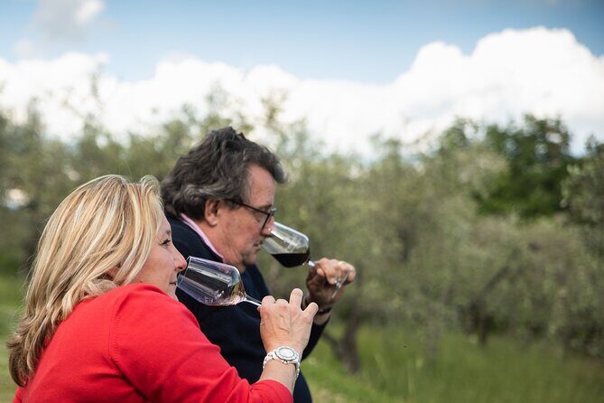 Exclusive lunch, Winery tour, Organic wines in Chianti Classico - Price and value: is $132.45 per person worth it?