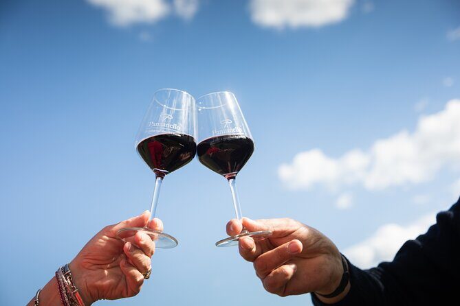 Exclusive lunch, Winery tour, Organic wines in Chianti Classico - How long it takes, and how to plan your afternoon in Florence