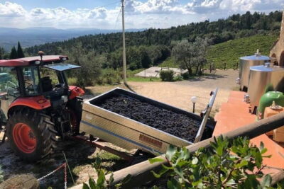 Exclusive Private Tuscany Wine Tour & Food Pairing Session - The route: Florence downtown to scenic drives and possibly a quick town stop