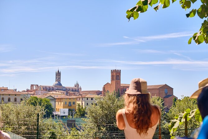 Exclusive Siena and San Gimignano Tour & Chianti Wine Experience - Chianti Winery Experience: Tastings, Extra-Virgin Olive Oil, and Regional Bites