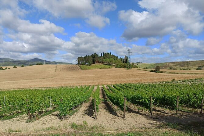 EXCLUSIVE Wine Tour in Chianti & San Gimignano (Lunch & Wine Tasting included) - San Gimignano: medieval towers, Vernaccia, and gelato time