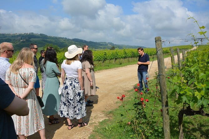 Experience Chianti & Cheese w/ 3 wineries & dairy visit—max 8 pp - The route: 3 wineries plus a dairy stop in about 7 hours