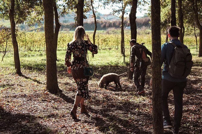 Experience Tuscan Truffle Hunting with Wine and Lunch - What Makes This Truffle Hunt Feel Like Tuscany, Not a Show