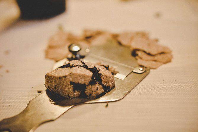 Experience Tuscan Truffle Hunting with Wine and Lunch - How the Truffle Dogs and Guides Guide You Through the Oak Woods
