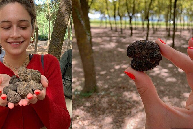 Experience Tuscan Truffle Hunting with Wine and Lunch - The Four-Course Tuscan Meal: Lunch or Dinner With Truffle-Forward Tastings