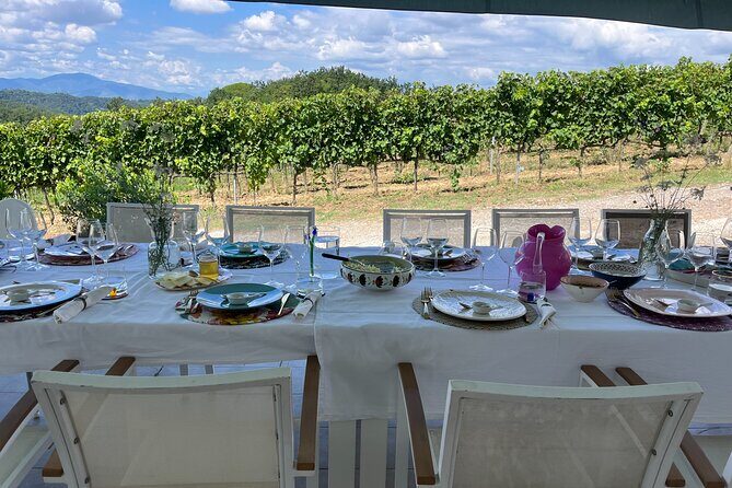 Farm To table Experience on an organic hilltop estate in Tuscany - Estate drinks: wine, spirits, and limoncello included