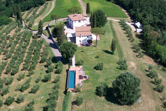 Farm To table Experience on an organic hilltop estate in Tuscany - Cooking together: beginner-friendly, but still hands-on