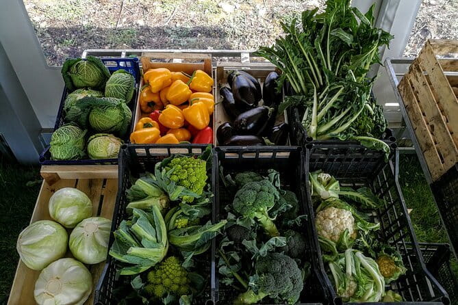 Fiesole: Tuscan Countryside Half Day E-Bike Tour & Farm visit - Stop 5: Settignano and the Michelangelo childhood connection