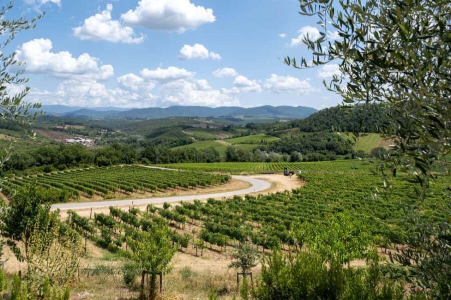 Florence: Chianti E-Bike Tour with Wine Tasting and Lunch - Impruneta farm lunch: where the day slows down