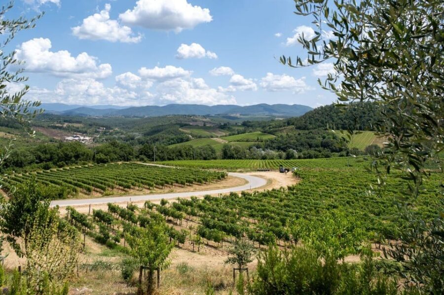 Florence: Chianti E-Bike Tour with Wine Tasting and Lunch - Price and value: is $117 a fair deal?