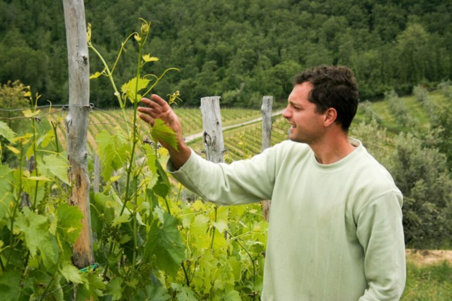 Florence: Chianti Villages, San Gimignano and Winery Tour - Greve in Chianti: your first winery stop and the olive oil bonus