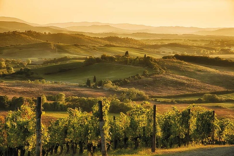 Florence: Chianti Vineyards Tour with Wine Tasting & Dinner - Price and Value for $123.48: When It Makes Sense