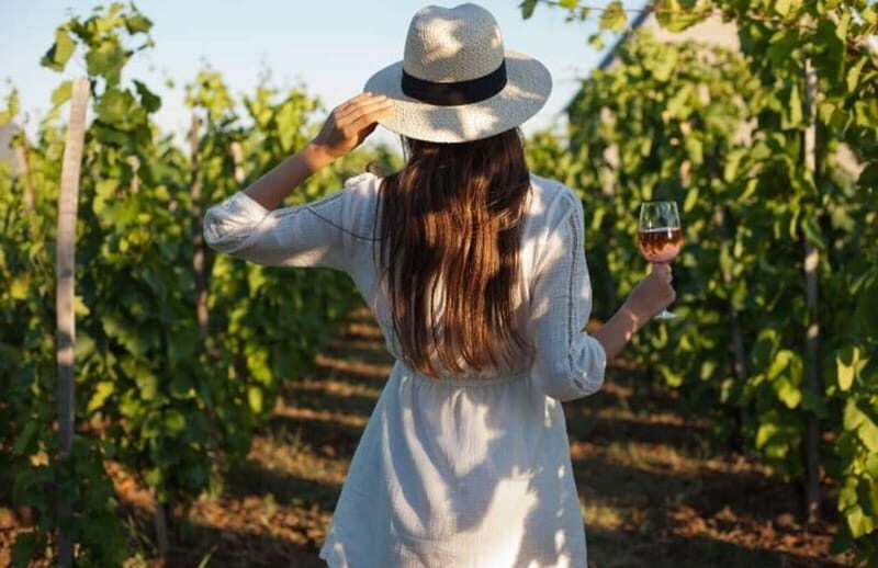 Florence: Chianti Vineyards Tour with Wine Tasting & Dinner - A Chianti Evening From Florence: What This 8-Hour Ride Really Gives You