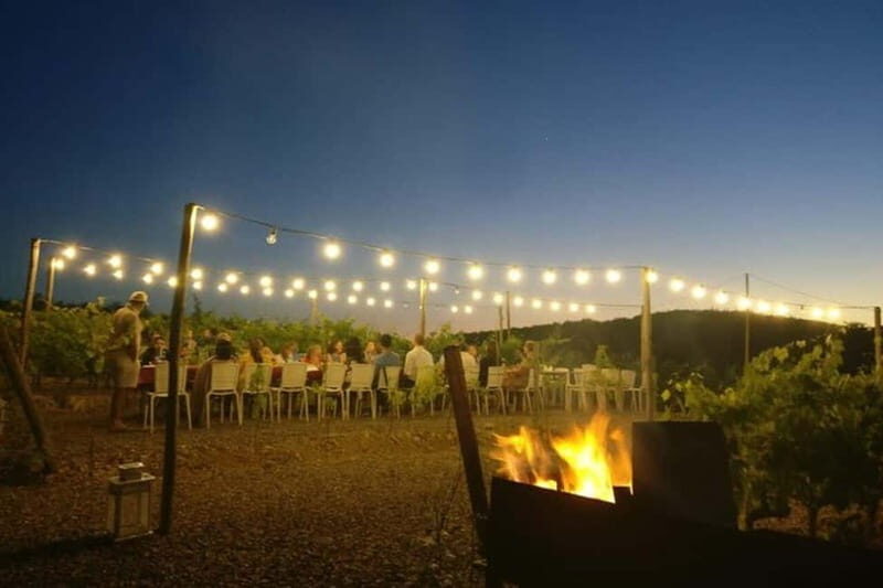 Florence: Chianti Vineyards Tour with Wine Tasting & Dinner - Aperitif and the Local Flavors You Taste Along the Way