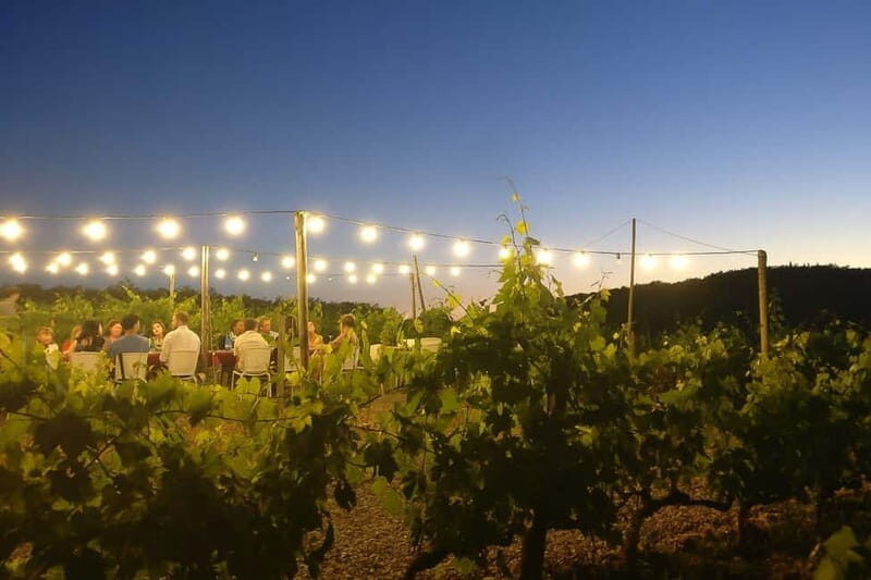 Florence: Chianti Vineyards Tour with Wine Tasting & Dinner - Who This Tour Suits (and Who Should Skip It)