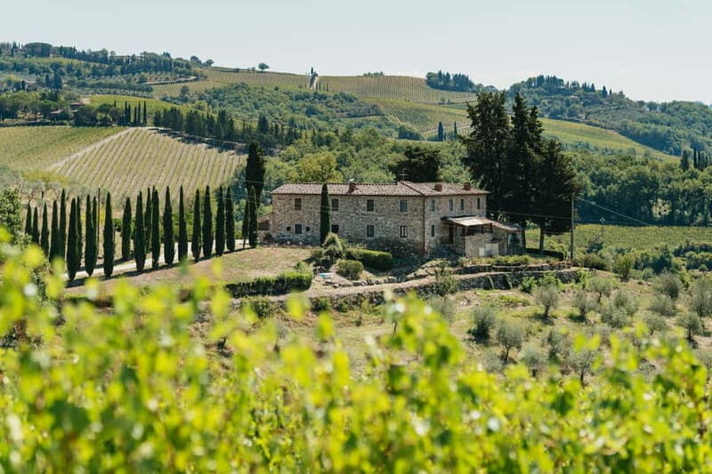 Florence: Chianti Wineries Tour with Wine Tasting - The Real Value of a 5.5-Hour Chianti Wine Tour From Florence