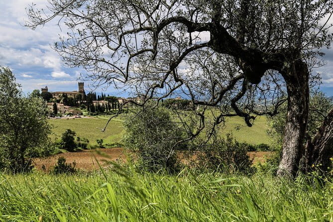 Florence Day Trip: Chianti Wine Tasting, Siena, San Gimignano - Timing, Traffic, and Weather: The Day Can Stretch