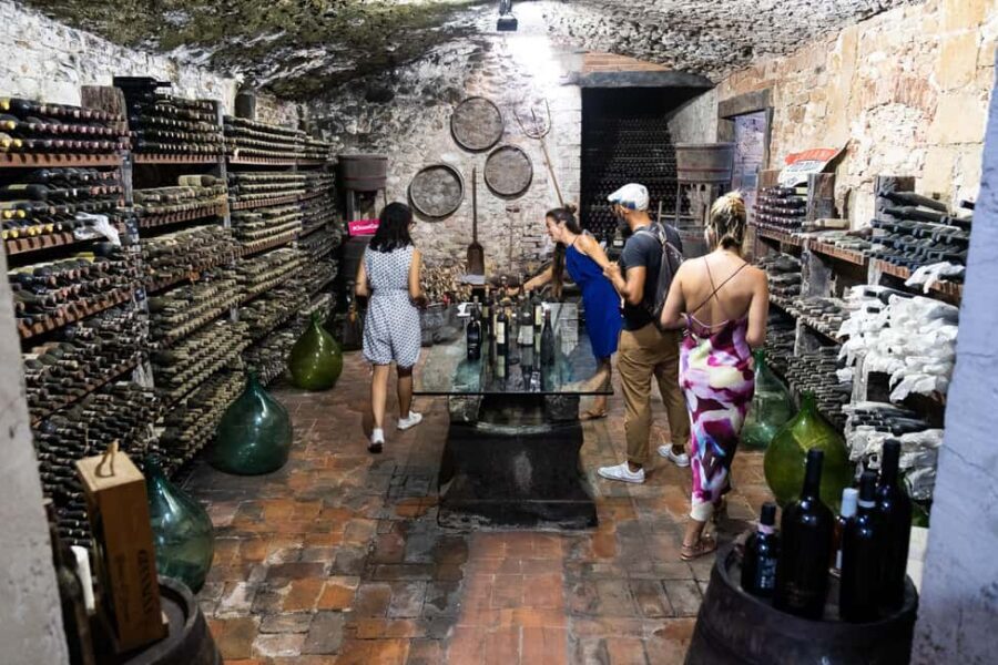 Florence: Exclusive Chianti Wine Tour at 3 Wineries & Lunch - Guides and timing: why Giovanni, Andrea, and Cosimo get named