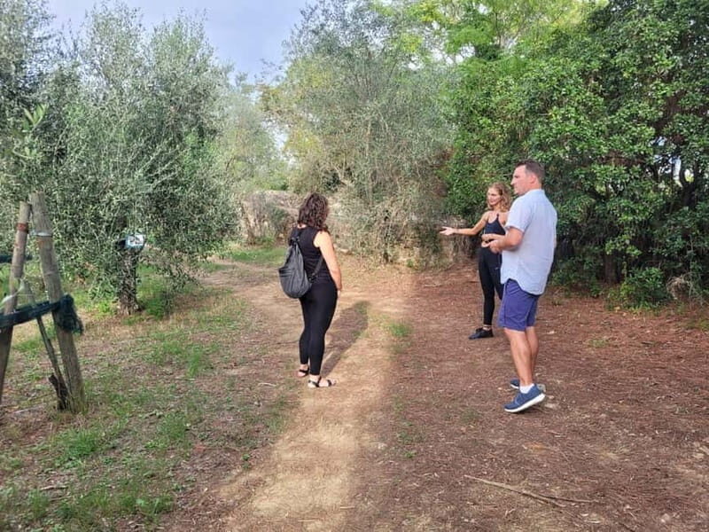 Florence: Half-Day Tuscan Countryside E-bike Tour with Wine - Should you book this Florence e-bike and wine tour?