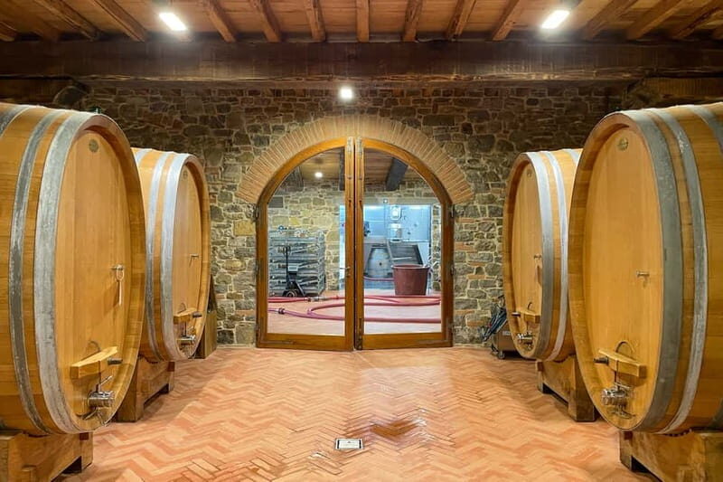 Florence: Hiking Tuscany & Chianti wine 3 wineries and lunch - Key things you should know before you go