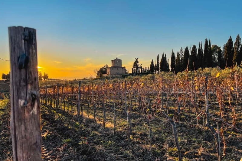 Florence: Hiking Tuscany & Chianti wine 3 wineries and lunch - Florence to Chianti Classico: why this format works