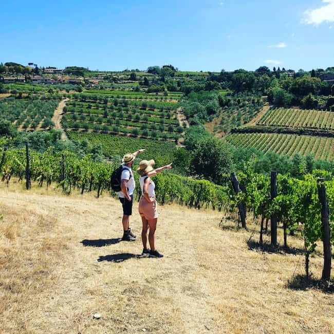 Florence: Hiking Tuscany & Chianti wine 3 wineries and lunch - The first winery: a 12th-century family cellar in Panzano