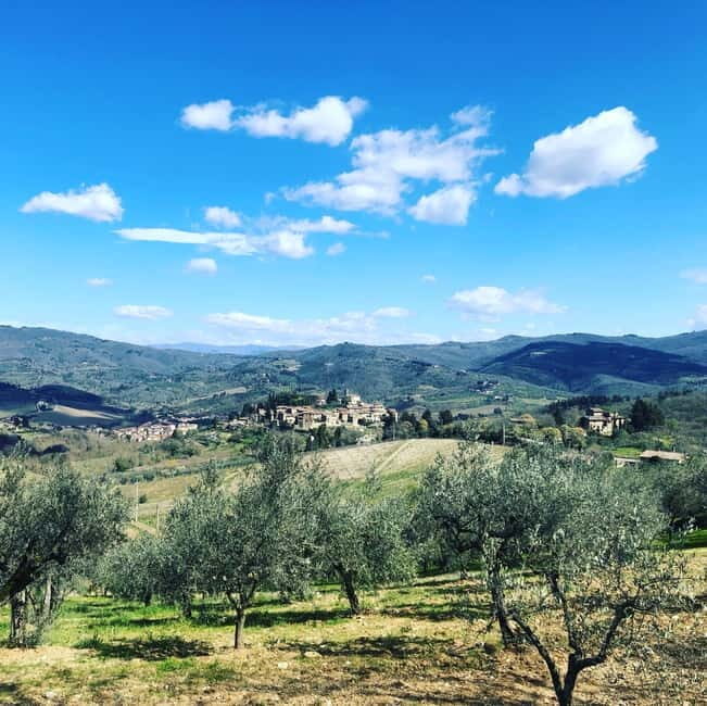 Florence: Hiking Tuscany & Chianti wine 3 wineries and lunch - Tastings and included food: what you’re actually paying for