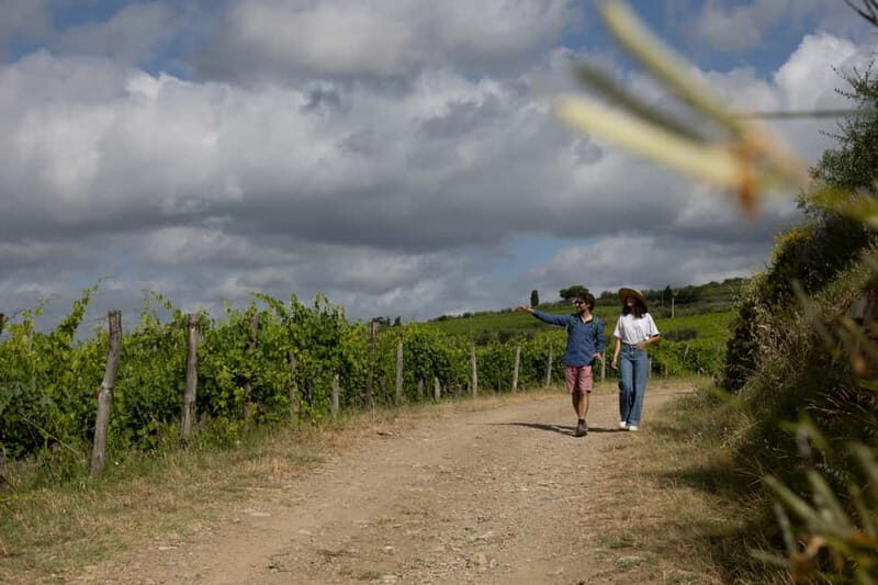 Florence: Hiking Tuscany & Chianti wine 3 wineries and lunch - Group size and guide style: what makes the day feel personal