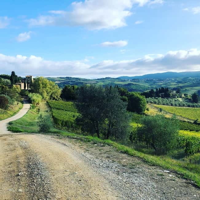Florence: Hiking Tuscany & Chianti wine 3 wineries and lunch - Panzano in Chianti and the Conca d’oro start your day right