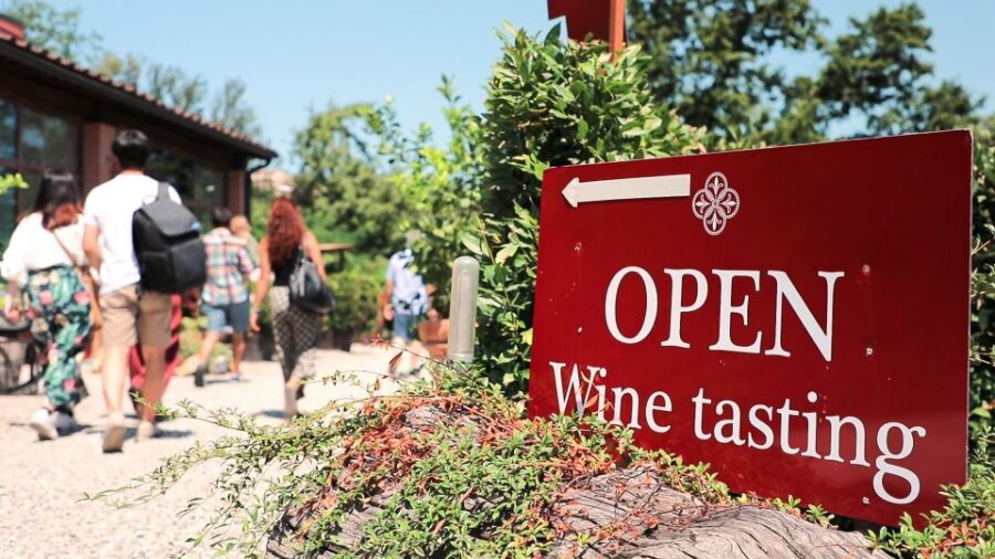 Florence: Pisa, Siena, S. Gimignano, Chianti Wine & Lunch - Price and value for about $77 per person