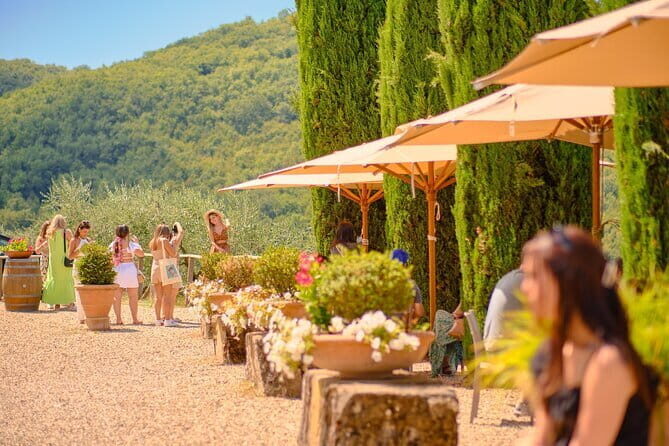 Florence: Private Half-Day Chianti Tour and Wine Tasting Optional - Chianti Road Time: Scenic Stops Without the Herd
