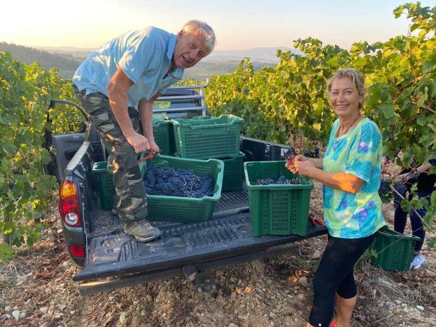 Florence: Private Siena, San Gimignano and Chianti Tour - Organic Farm Lunch in Castellina: Food With a Tuscan View