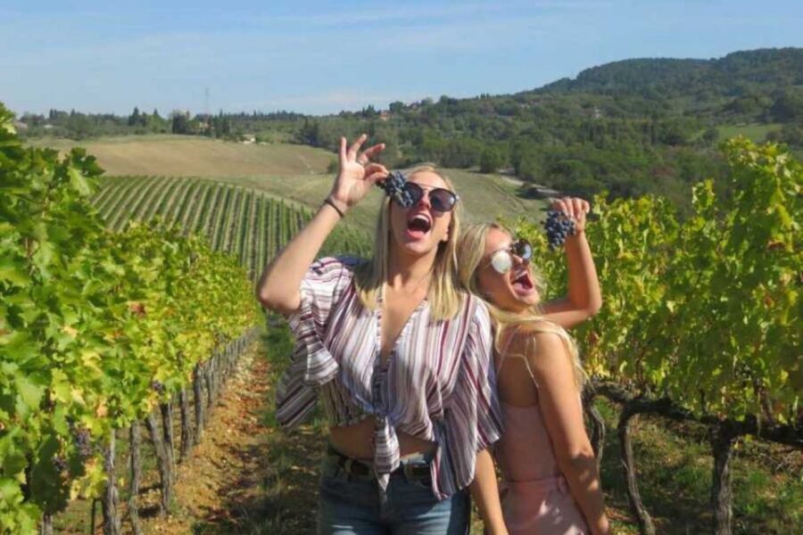 Florence: Private Siena, San Gimignano and Chianti Tour - San Gimignano’s Historic Center: Ancient Towers and a Focused Walk