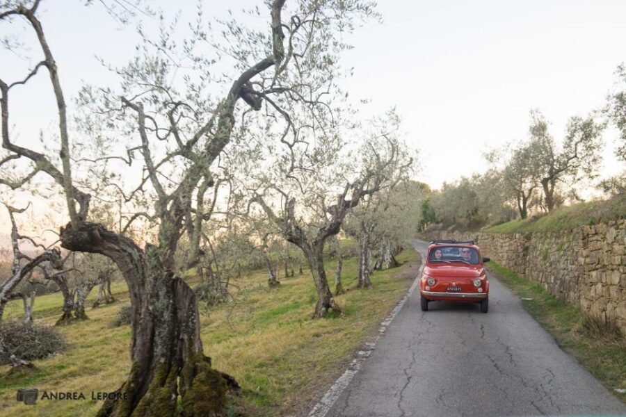 Florence: Private Vintage Fiat500 Countryside & Winery Lunch - Vineyards and Olive Groves on the Way In: What You’ll See Before the Meal