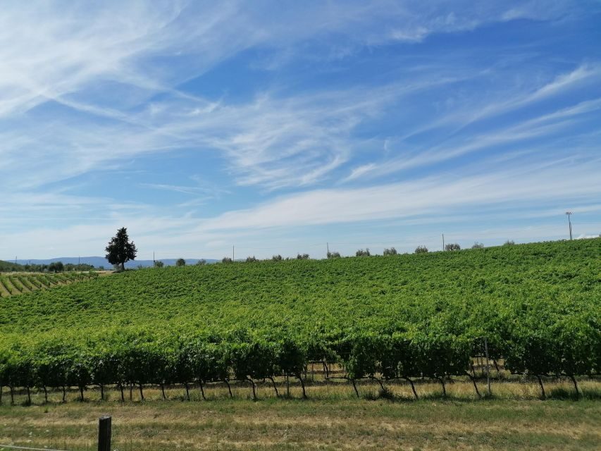 Florence: Private Vintage Fiat500 Countryside & Winery Lunch - Practical Comfort Notes: Rules That Affect Your Day