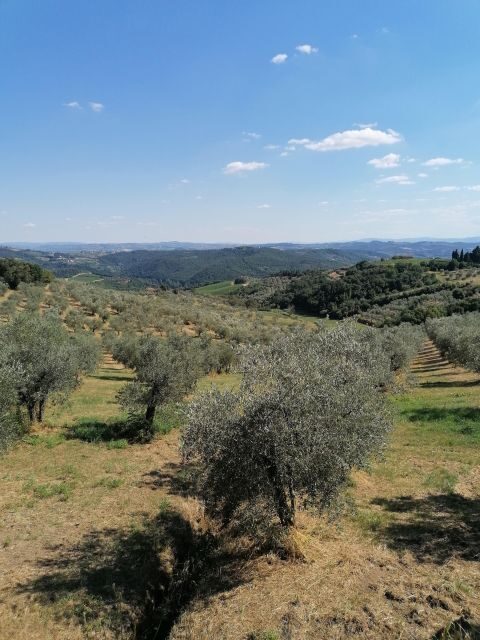 Florence: Private Vintage Fiat500 Countryside & Winery Lunch - Who This Tour Is Best For (and Who Should Skip It)
