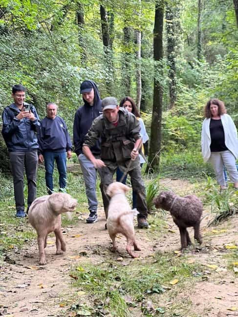 Florence: Truffle Hunt, San Gimignano, and Chianti Day Trip - Key takeaways